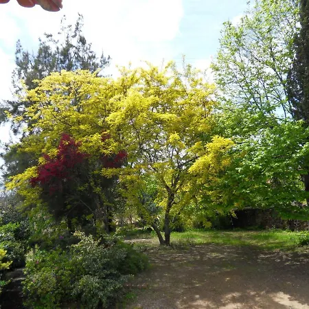 Quinta Do Bento Novo - - Hébergement de vacances *