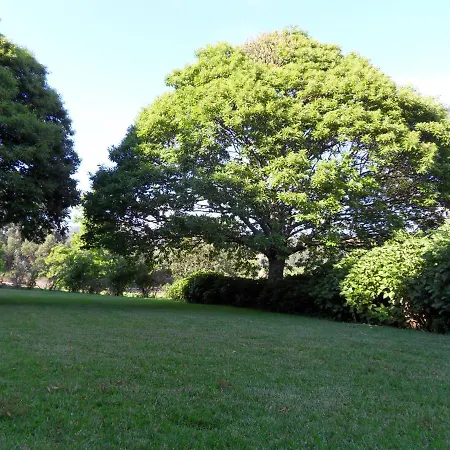 Quinta Do Bento Novo - -