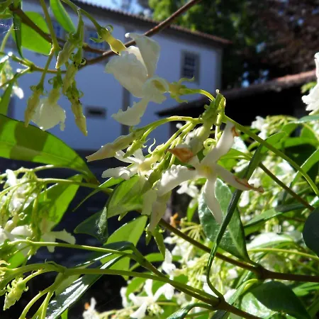 Hébergement de vacances Quinta Do Bento Novo - -