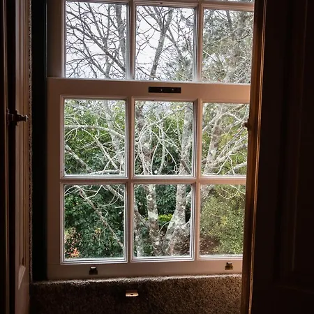 Hébergement de vacances Quinta Do Bento Novo - -