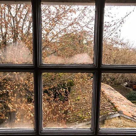 Quinta Do Bento Novo - - Viana do Castelo