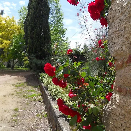Hébergement de vacances Quinta Do Bento Novo - - Viana do Castelo