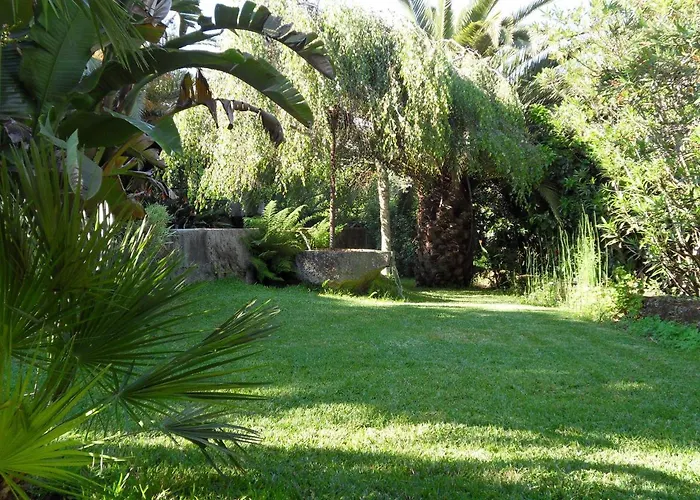 Quinta Do Bento Novo - - Дом отдыха *