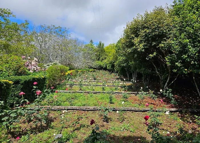 Quinta Do Bento Novo - - Дом отдыха *