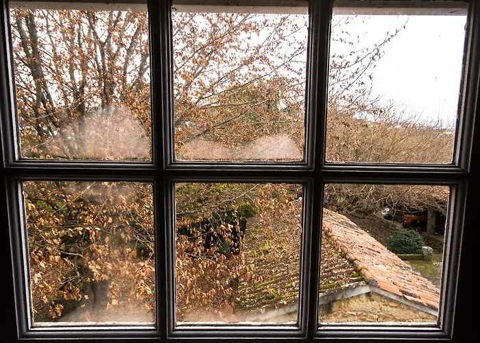 Quinta Do Bento Novo - - Виана-ду-Каштелу