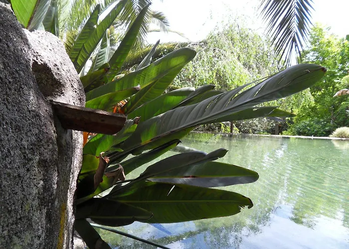 Дом отдыха Quinta Do Bento Novo - - *