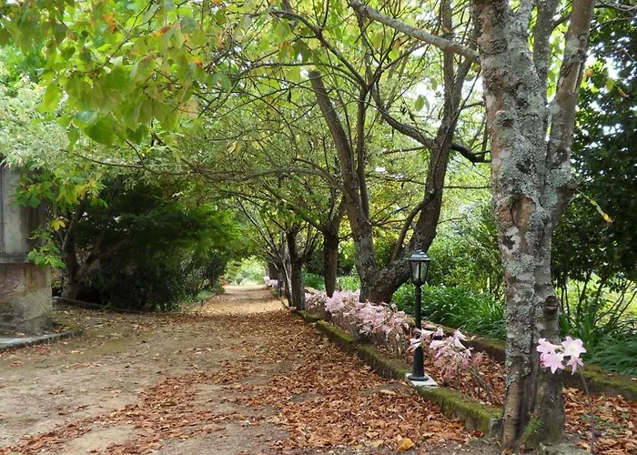 Quinta Do Bento Novo - -