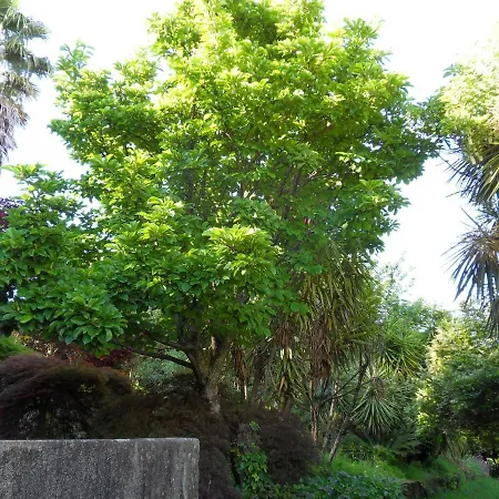 Quinta Do Bento Novo - - بيت للعطل *
