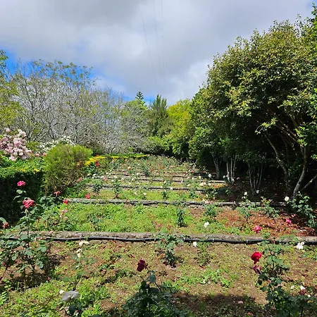 Quinta Do Bento Novo - - Сasa de vacaciones *