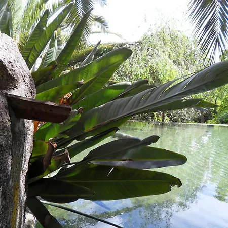 度假居 Quinta Do Bento Novo - - *