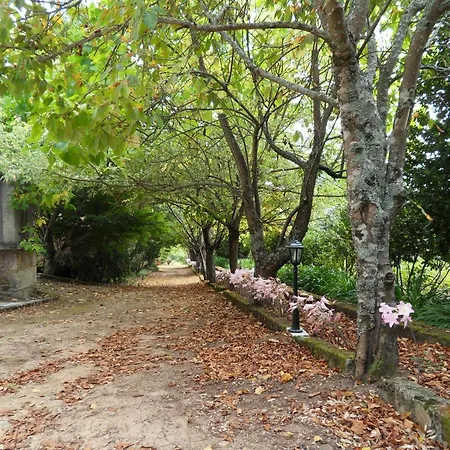 Quinta Do Bento Novo - -