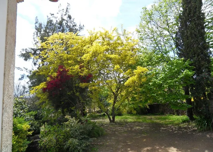 Quinta Do Bento Novo - - بيت للعطل *