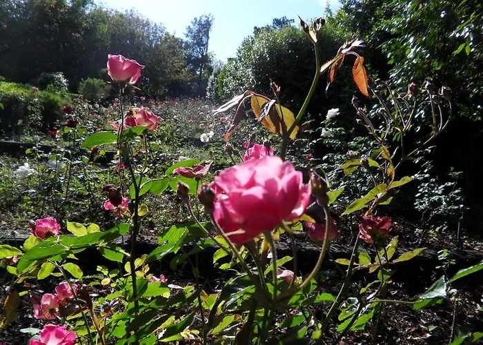 Quinta Do Bento Novo - - *