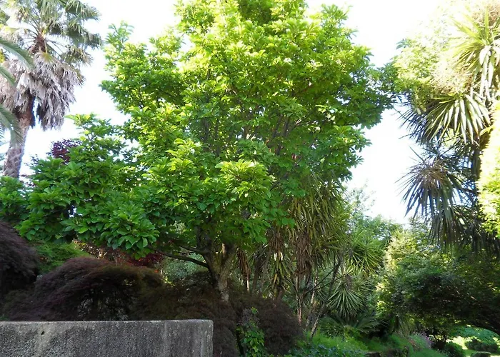 Quinta Do Bento Novo - - بيت للعطل *