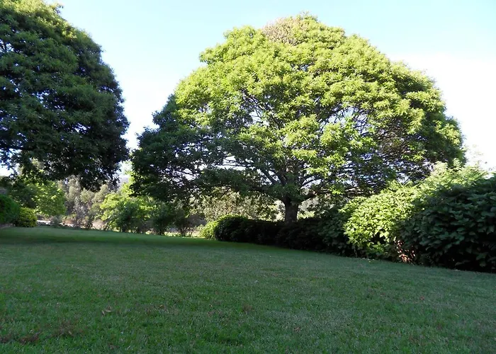 Quinta Do Bento Novo - -