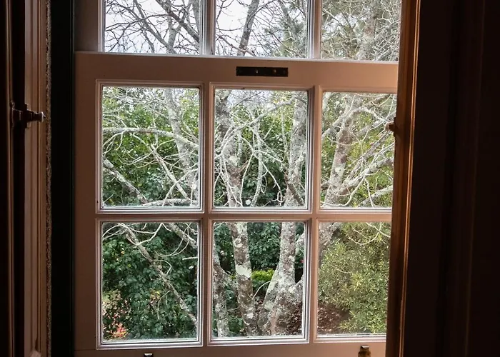 بيت للعطل Quinta Do Bento Novo - -