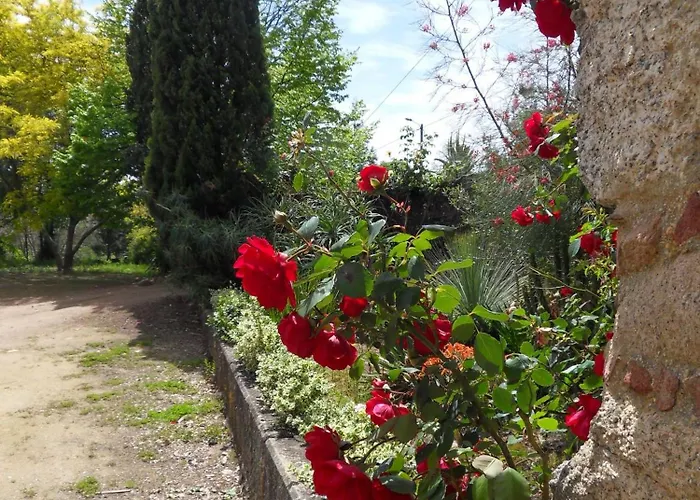 بيت للعطل Quinta Do Bento Novo - - فيانا دو كاستيلو